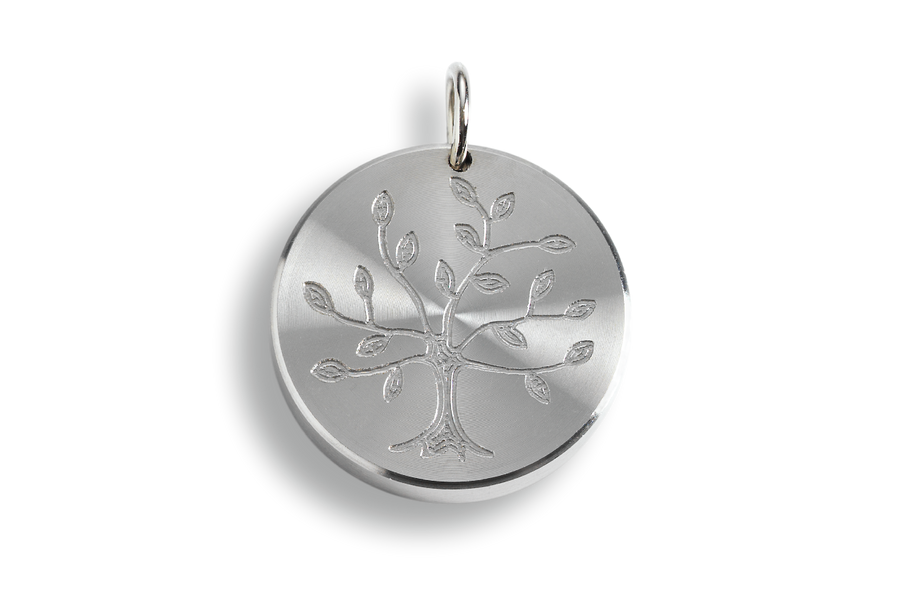 Bodyguard 25 stainless steel