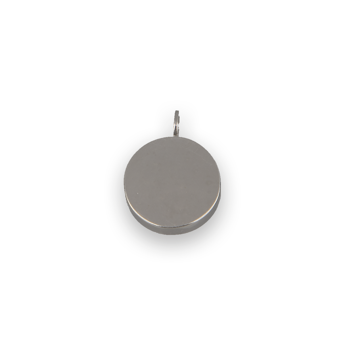 ZES Exclusive Pendant (Circular)