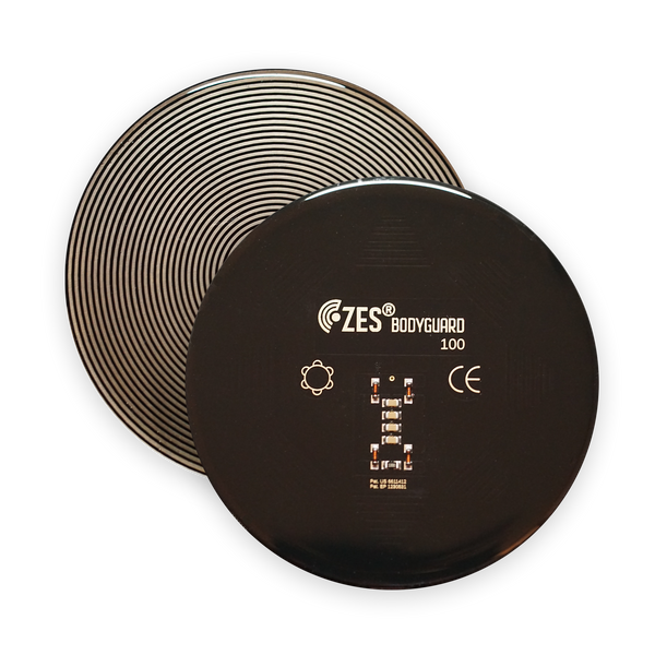 ZES Bodyguard 100