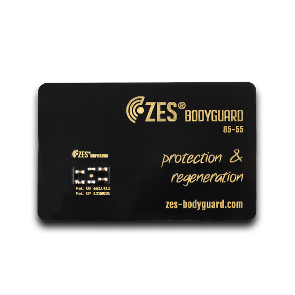 ZES Bodyguard Ultimate Protection